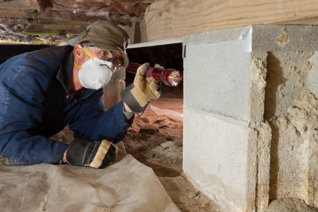 Inspector looking for termites in crawl space